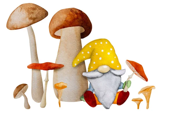 가을에는 색깔의 삽화를 그리면서 버섯을 수확하는 귀여운 왜성이다 그림을 그리는 — 스톡 사진