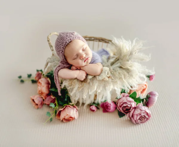 Yeni Doğmuş Bebek Kürk Şakayık Çiçeklerin Üzerinde Uyuyor Sepet Atölyesinde — Stok fotoğraf