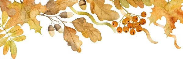 Φθινοπωρινή Δρυς Και Φύλλα Σφενδάμου Σχέδιο Καρέ Ακουαρέλα Σχέδιο Αντίγραφο — Φωτογραφία Αρχείου