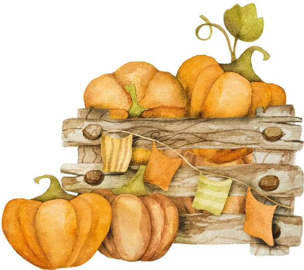 Autumn pumpkins in wooden box cartoon watercolor painting. Fall orange vegetables harvest aquarelle drawing