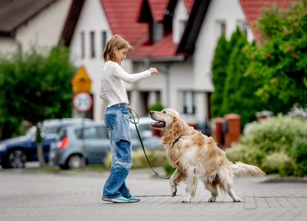 Tonårstjej Som Undervisar Golden Retriever Hund Som Går Stadens Gata — Stockfoto