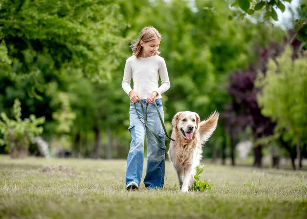 十几岁的女孩 带着金毛猎犬在大自然中散步 夏天公园里带着纯种宠物狗拉布拉多犬的可爱孩子 — 图库照片#