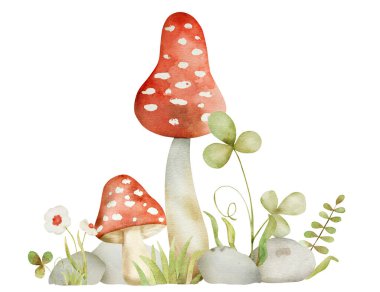 Orman kırmızı mantarı ve yeşil yonca masal suluboya resmi. Çizgi film sinek agarik amanita akvaryumu çizimi