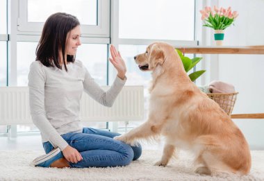 Golden retriever köpeği fener odasında yerde oturan genç kıza pençe veriyor.