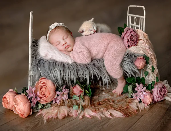 Bébé Fille Nouveau Née Avec Chaton Dormant Dans Petit Lit — Photo