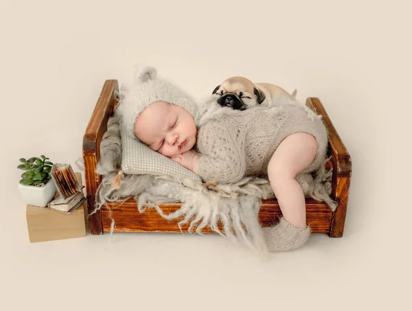 Newborn baby boy sleeping with a dog on fur in tiny bed and holding hands under cheeks. Adorable infant child kid napping on his tummy during studio photoshoot wearing knitted hat and costume