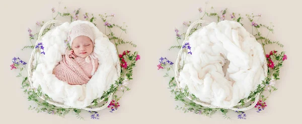 Ένα Κοιμισμένο Νεογέννητο Κοριτσάκι Τυλιγμένο Ένα Καλάθι Λουλούδια Μείγμα Κολλαγόνου — Φωτογραφία Αρχείου