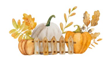 Ahşap çitli ve sonbahar yapraklı suluboya resimli balkabağı güz hasadı. Portakallı Cadılar Bayramı sebzesi ile İllüstrasyon