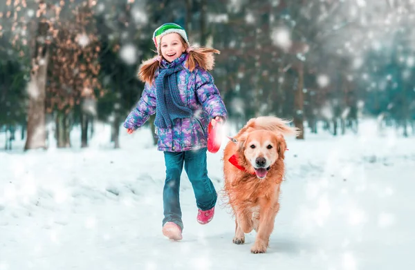 Güzel Küçük Bir Kız Köpeğini Kışın Kar Ile — Stok fotoğraf