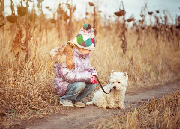 Dziewczynka Jej Pies Rasy Biały Terier Spaceru Polu Jesienią — Zdjęcie stockowe