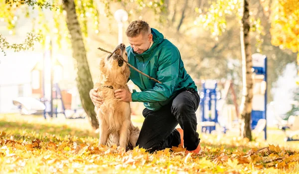 Mann Spielt Mit Seinem Hund Golden Retriever Herbstpark — Stockfoto