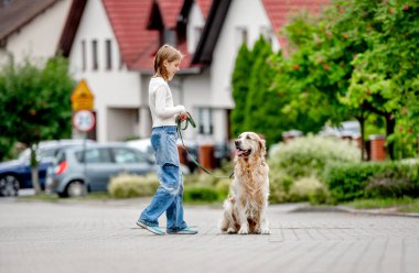 Küçük kız Golden Retriever köpeğini şehir caddesinde gezdirmeyi öğretiyor. Saf evcil köpeği olan güzel bir çocuk.