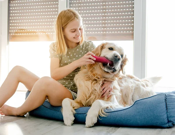 Menina Pré Adolescente Bonito Com Cão Golden Retriever Jogando Travesseiro — Fotografia de Stock