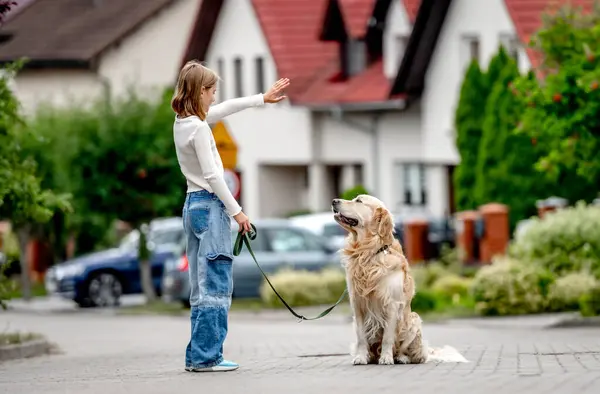 市街地を歩くゴールデンレトリーバー犬を教える19人の少女 屋外でピューレッドペット犬とかなり子供 — ストック写真