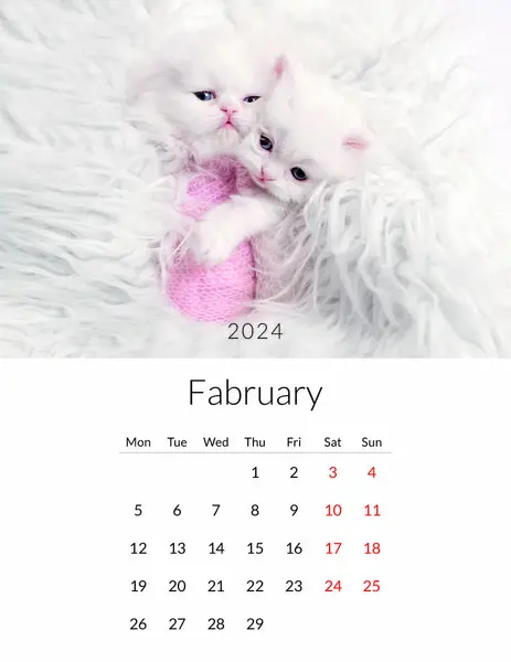Febrero 2024 Calendario Fotos Con Gatos Lindos Plantilla Planificador Diario — Foto de Stock