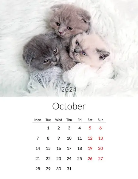Oktober 2024 Fotokalender Mit Niedlichen Katzen Jährliche Tagesordnungsplanvorlage Mit Katzenkätzchen — Stockfoto
