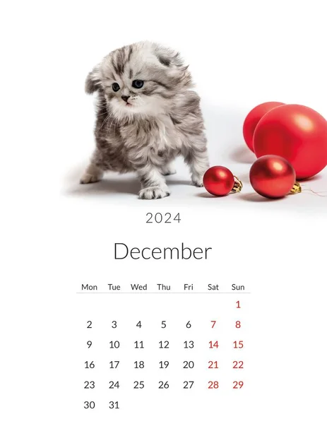 Décembre 2024 Calendrier Photo Avec Des Chats Mignons Modèle Planificateur — Photo