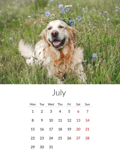 July 2024 Year Photo Calendar Cute Dogs Annual Daily Planner — Stock Photo, Image