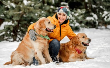 Kışın Golden Retriever köpekleri ve karda poz veren kız sahipleri. Genç bir kadın, soğuk havada ormanda köpekçiklerle kameraya bakıyor.