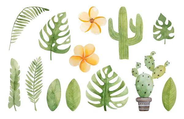 Hojas Tropicales Verano Con Cactus Plumeria Composición Flor Acuarela Pintura — Foto de Stock