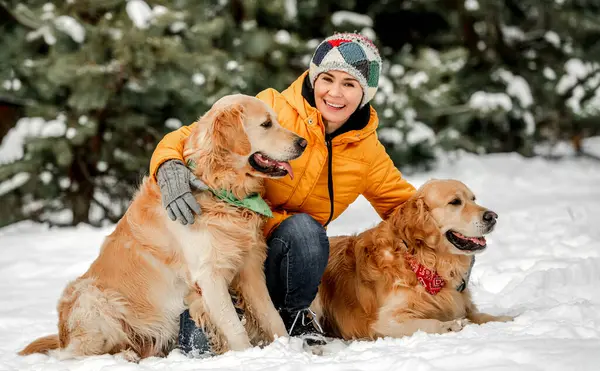雪の中でポーズをとっている女の子の所有者と冬の時間に黄金の検索犬 若いです女性見ますカメラとともに犬ペットで森の中で寒い天候 — ストック写真