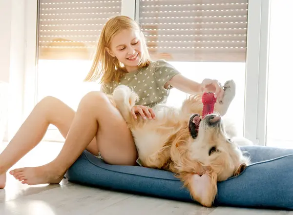 Cute Preteen Child Girl Golden Retriever Dog Playing Pillow Floor — Stock Photo, Image