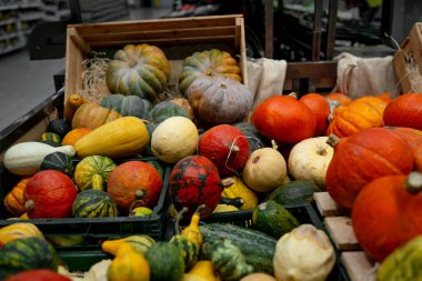Süpermarket rafları renkli balkabaklarıyla dolu.
