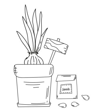 Bir kapta filizlenmiş bir ampul ve bir tohum paketiyle bir bahar temalı çocuklar için boyama sayfası boyama kitabı için siyah ve beyaz vektör ilüstrasyonu olarak sunuldu.