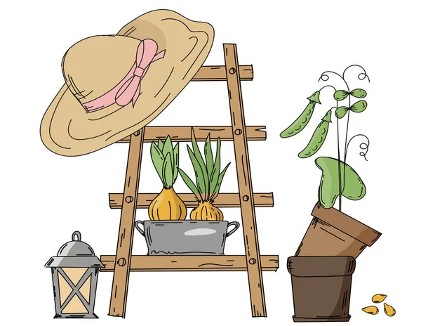 Yapımı Merdiven Şapka Tohumlu Saksılar Bir Bahçe Resmi Oluşturur — Stok Vektör