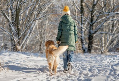 Kışın ormanda altın avcısıyla gezen, arkadan bakan, karla kaplı ormanda köpekle yürüyen bir kız.