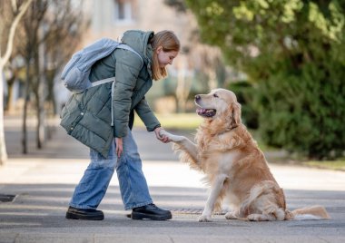 Golden Retriever köpekle kış yürüyüşü sırasında genç sahibine patisini veriyor.