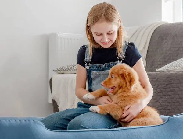 Menina Pequena Com Toller Filhote Cachorro Senta Blue Dog Bed — Fotografia de Stock