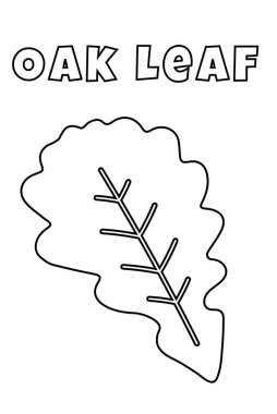 En Küçük Oklar için Kalın Çizgilerle Boyama, Meşe Yaprağı Renklendirme Sayfası
