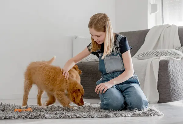 Girl Plays Nova Scotia Retriever Puppies Home Floor Nova Scotia — Stock Photo, Image