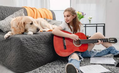 Evde Golden Retriever köpeğiyle gitar çalan genç bir kız yerde oturuyor. Müzisyen enstrümanlı güzel bir gitarist ve kameraya bakan safkan bir evcil köpek.