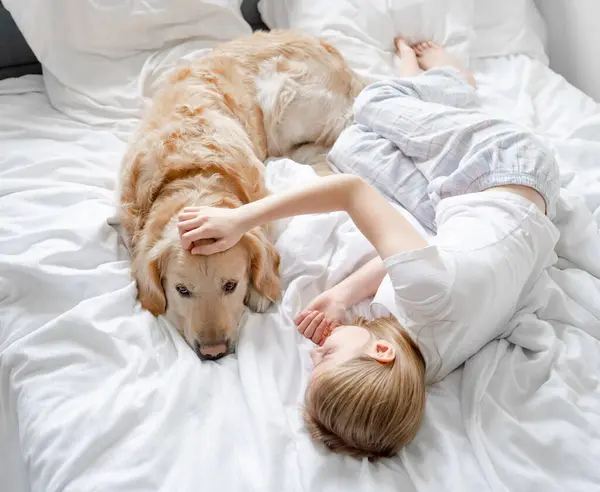 Klein Meisje Ligt Bed Spelen Met Golden Retriever Hond Wit — Stockfoto