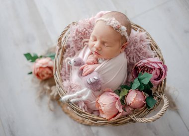 Pembe elbiseli yeni doğmuş kız oyuncak kediyle Uyuyor Ahşap Kalp şeklinde kase Profesyonel Yeni Doğan Fotoğrafları sırasında