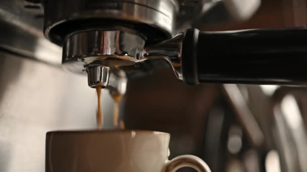 Coffee Maker Preparing Fresh Espresso Cup Professional Cappuccino Machine Mug — Stok video