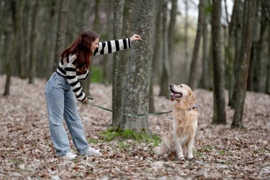 Genç kız, altın av köpeğiyle parkta sonbaharın tadını çıkarıyor.