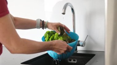 Mutfakta Genç Kadın Marul Yıkadı Yakından Bakış Alıyor