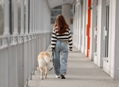 Altın Avcı Köpekli Genç Kız İlkbaharda Şehirde Oturuyor, Arkadan Bakıyor