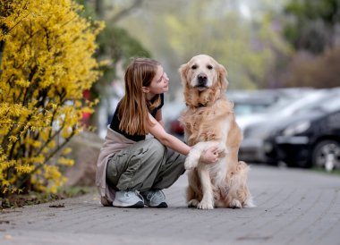 Kız İlkbaharda Golden Retriever ile Sokakta Geziniyor