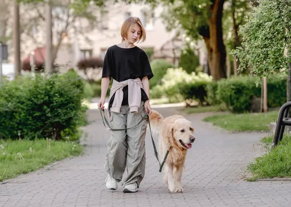Jente Med Golden Retriever Spaserer Gaten Med Hund – stockfoto