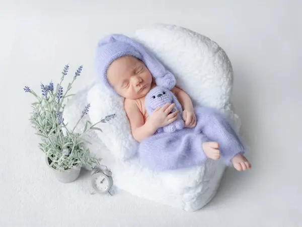 Newborn Baby Lilac Pants Cap Sleeps Tiny Chair Studio Photoshoot — Stock Photo, Image