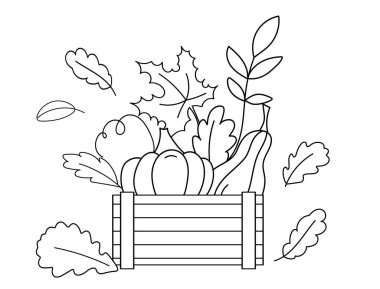 Tahta kutuda balkabakları Renklendirme Sayfası