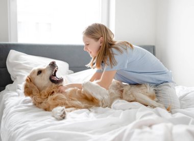 Kız, parlak bir odada sabah yatağında altın av köpeğiyle oynuyor.