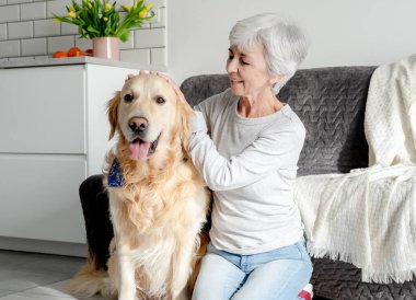 Gri saçlı kadın, Golden Retriever 'la evde vakit geçirmekten hoşlanıyor.