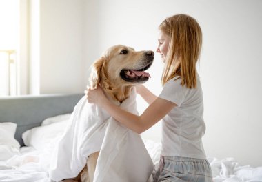 Kız yatakta Golden Retriever 'la oynuyor, sabahları onu battaniyeyle örtüyor.