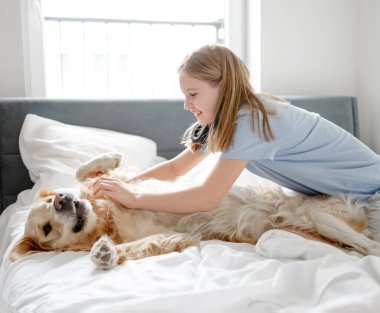 Kız, parlak bir odada sabah yatağında altın av köpeğiyle oynuyor.
