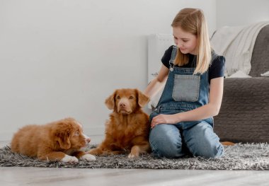 11 yaşındaki kız, Nova Scotia Retriever ve evdeki köpeği Nova Scotia Retriever ile oynuyor.